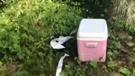 Body Discovered Inside Cooler Near Lake Prompts Ongoing Investigation