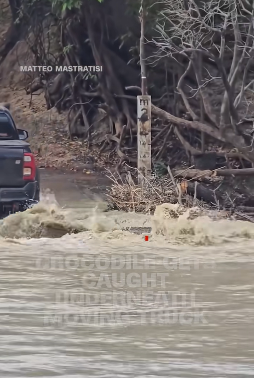 Monster Croc Trapped Under Truck in Wild Flood Chase – You HAVE to See This!