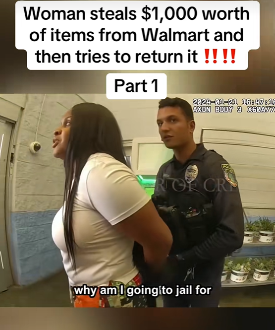 Woman Steals $1,000 Worth of Items From Walmart — Then Tries to RETURN Them!