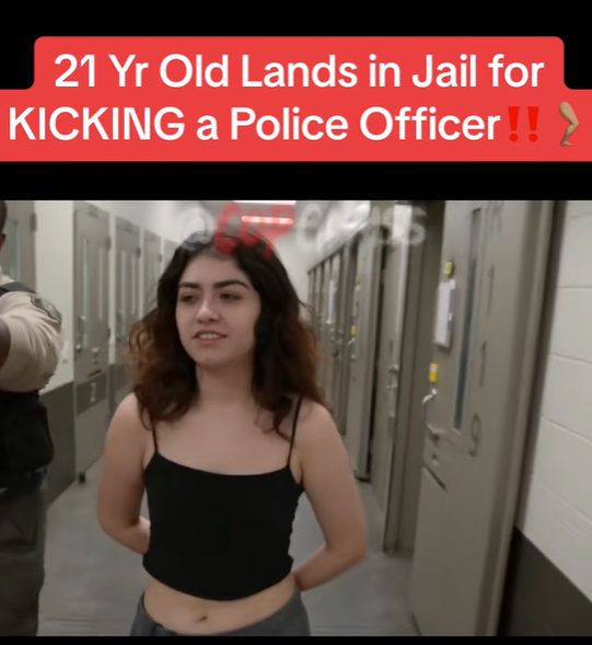 21-Year-Old Lands in Jail for KICKING a Police Officer