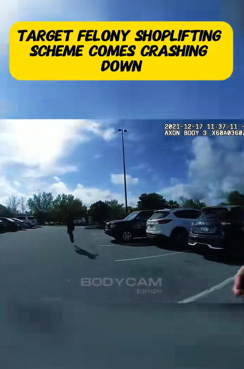 Felony Flee: Target Shoplifting Scheme Crumbles as Suspect Bolts from Police!