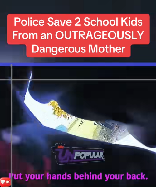 Police Save 2 School Kids From an OUTRAGEOUSLY Dangerous Mother