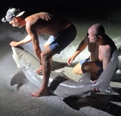 “Birthday Fishing Trip Turns Into Horror When Man Gets Mauled by Shark After Trying to Take a Photo!”