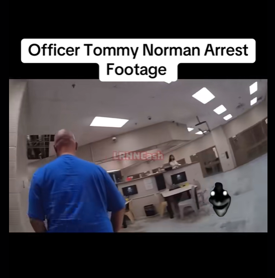 Cop with Millions of Fans Charged with Domestic Battery