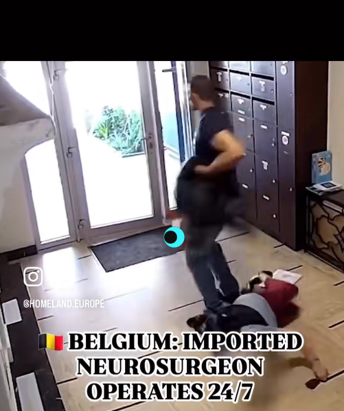 Thief Attacks Woman and Steals Her Bag in Broad Daylight — Caught on Camera in Belgium!