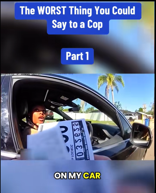 The WORST Thing You Could Say to a Cop