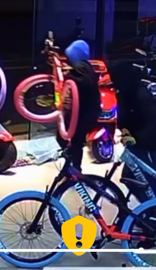 The “Bike Theft” Incident