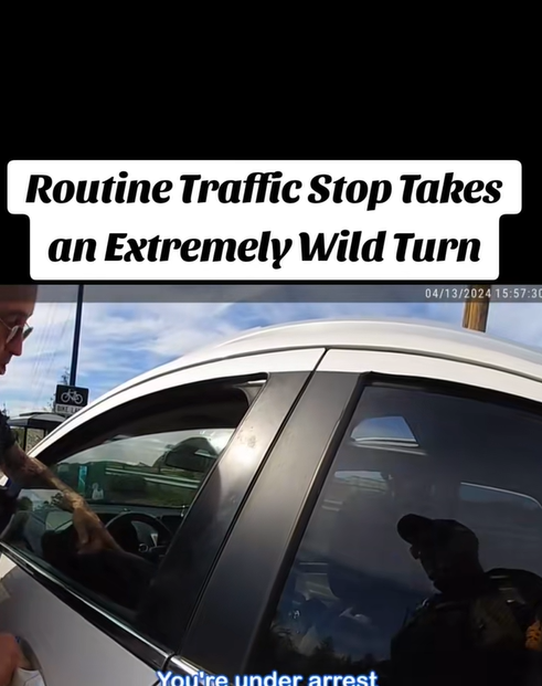 Routine Traffic Stop Takes an Extremely Wild Turn