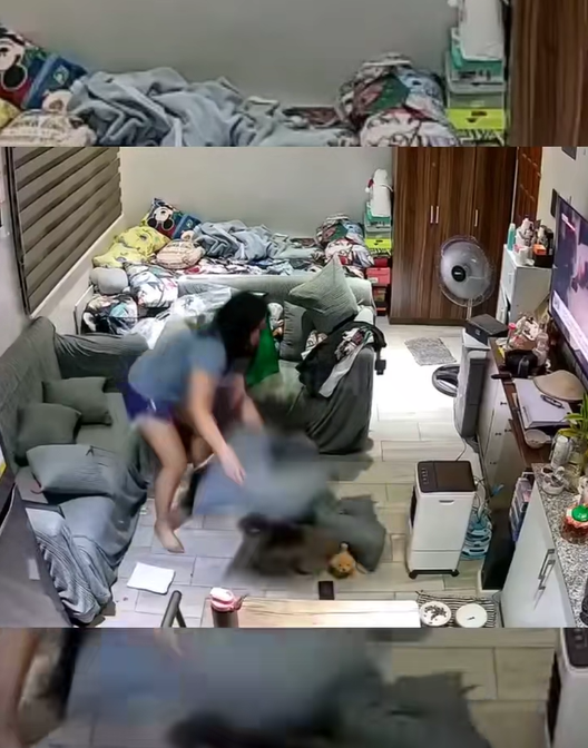 The Cat Suddenly Attacks the Woman