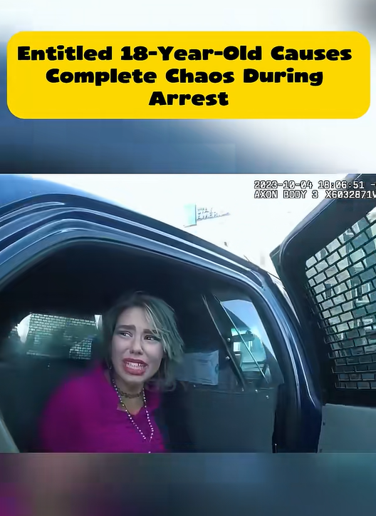 18-Year-Old Sparks Chaos During Traffic Stop After Refusing to Cooperate With Police