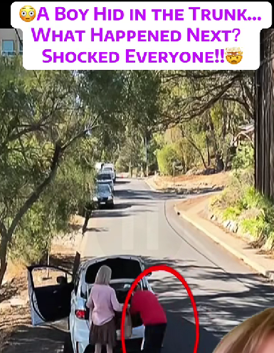 Boy Hides in Car Trunk — What Happened Next Left Everyone in Shock