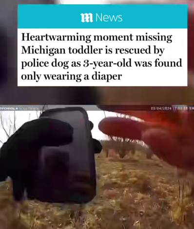 Lost in the Woods: Police Dog Locates Missing Michigan Toddler Wearing Only a Diaper