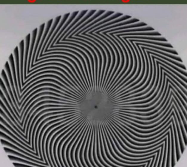 Can you guess the correct number