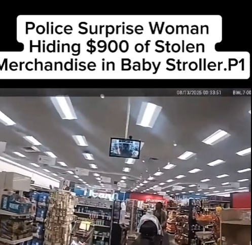 Police Catch Woman Hiding $900 Worth of Merchandise Inside Baby Stroller in Shocking Store Incident