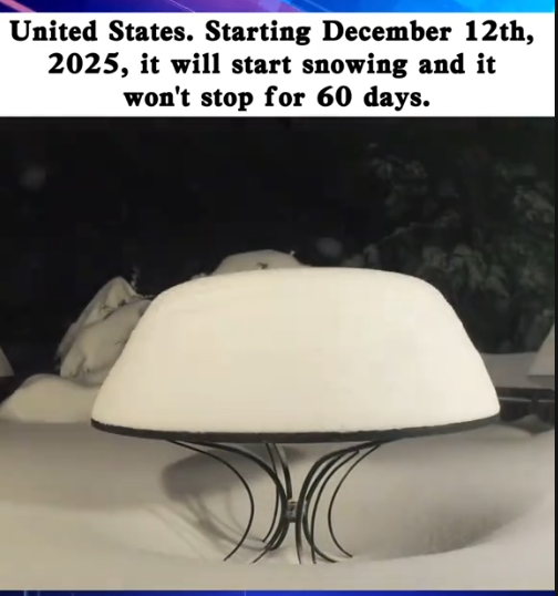 Meteorologists Sound the Alarm: A 60-Day Snowfall Set to Bury America Starting December 12th, 2025?