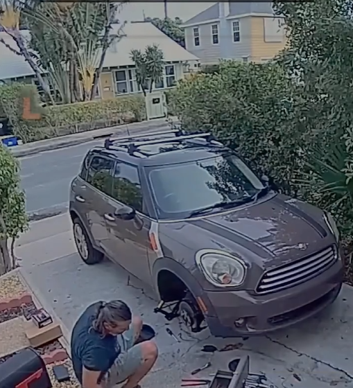 Neighbors Spot Something Disturbing on Security Camera — What They Believe Is Happening Leaves Community on Edge