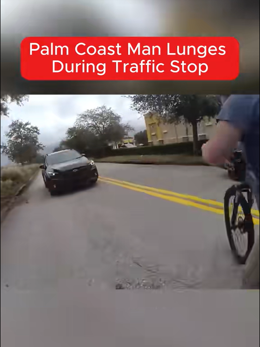 Palm Coast Man Arrested After Lunging at Officer During Traffic Stop, Police Say