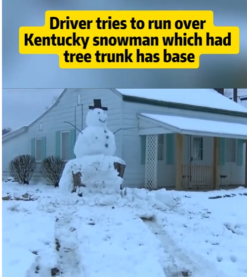 Driver Tries to Run Over Kentucky Snowman — But What Was Hidden at Its Base Changes Everything