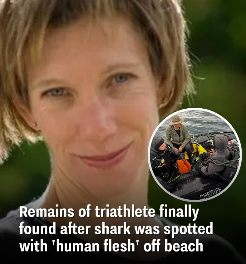 Remains of triathlete finally found after shark was spotted with ‘human flesh’ off beach