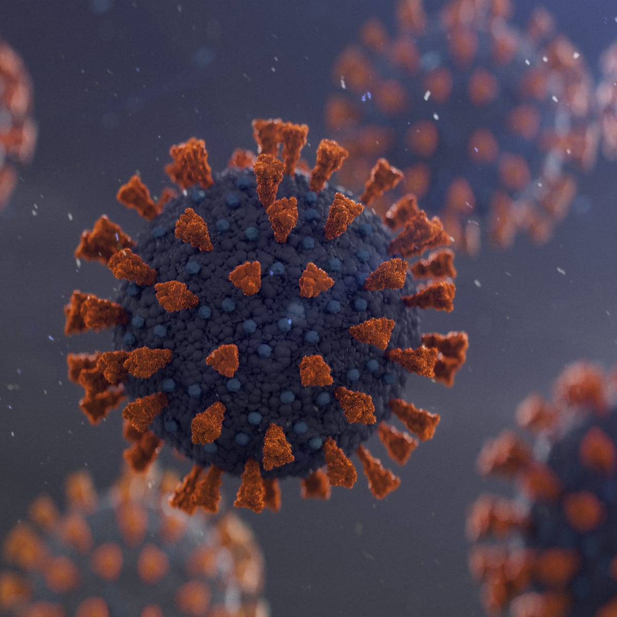 New Ninja Covid Variant Is The Most Dangerous Yet  