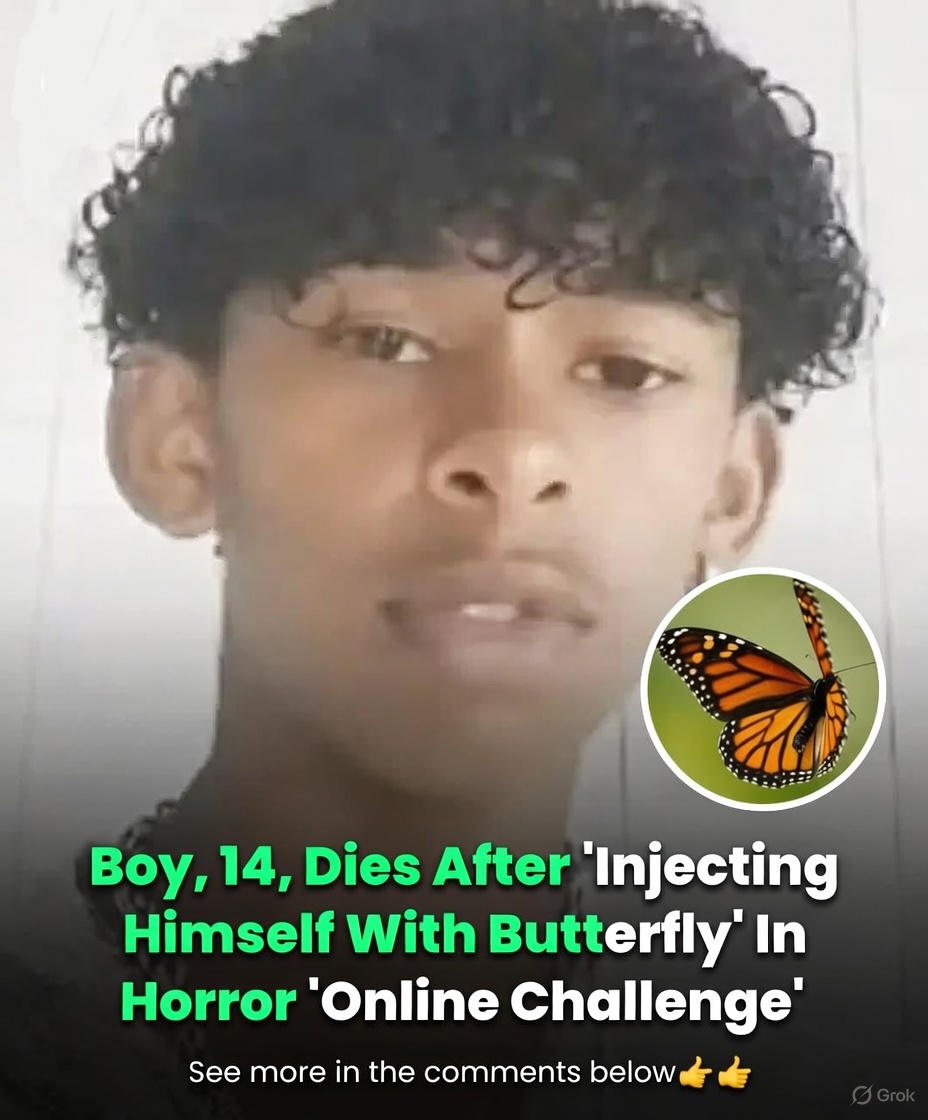 Boy, 14, Dies After ‘Injecting Himself With Butterfly’ In Horror ‘Online Challenge’
