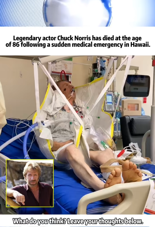 HEARTBREAKING NEWS: Last moment of Chuck Norris, After Sudden Emergency in Hawaii – The World Loses a True Legend
