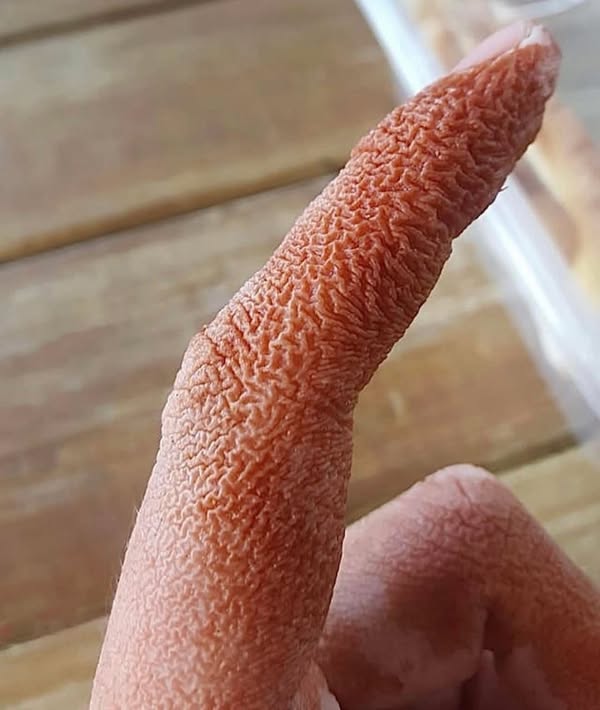 These are the signs that it is cre…