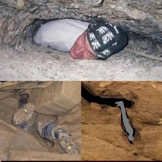 When Curiosity Turns Risky: The Thin Line Between Exploration and Survival